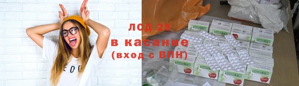 ПСИЛОЦИБИНОВЫЕ ГРИБЫ Магас