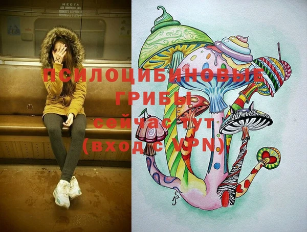 ПСИЛОЦИБИНОВЫЕ ГРИБЫ Магас