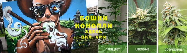 spice Лиски