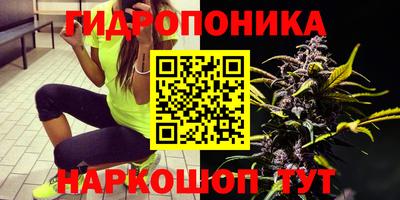 метамфетамин Камышлов