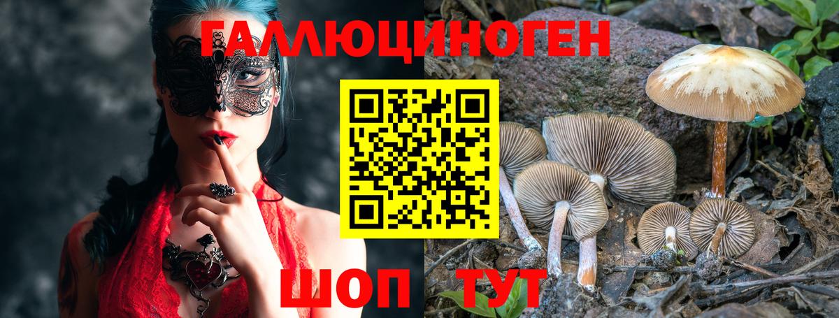Галлюциногенные грибы GOLDEN TEACHER Строитель